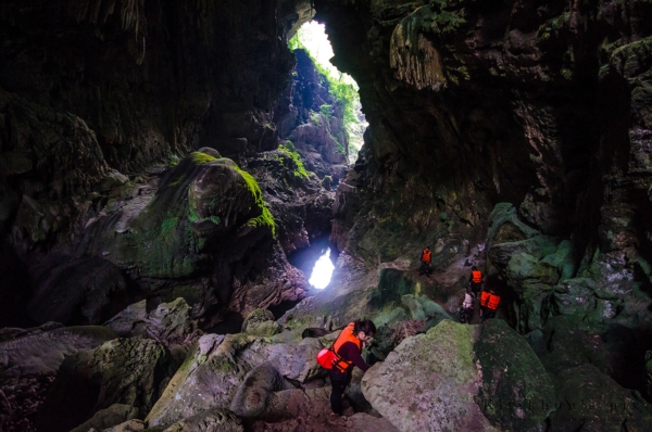 อุทยานแห่งชาติลำคลองงู อุทยานแห่งชาติลำคลองงู