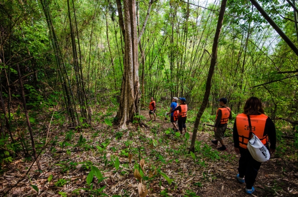 อุทยานแห่งชาติลำคลองงู อุทยานแห่งชาติลำคลองงู