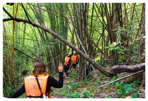 อุทยานแห่งชาติลำคลองงู อุทยานแห่งชาติลำคลองงู