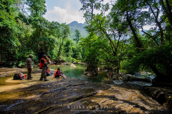 อุทยานแห่งชาติลำคลองงู อุทยานแห่งชาติลำคลองงู