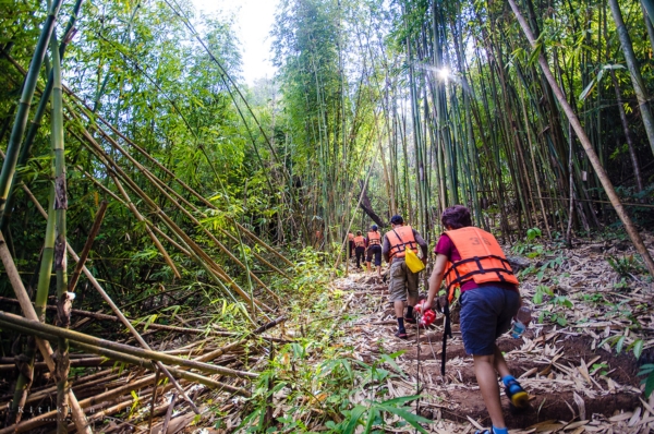 อุทยานแห่งชาติลำคลองงู อุทยานแห่งชาติลำคลองงู