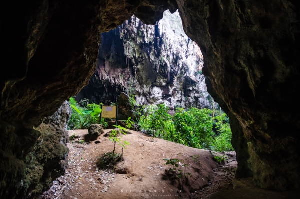 อุทยานแห่งชาติลำคลองงู อุทยานแห่งชาติลำคลองงู