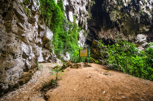 อุทยานแห่งชาติลำคลองงู อุทยานแห่งชาติลำคลองงู