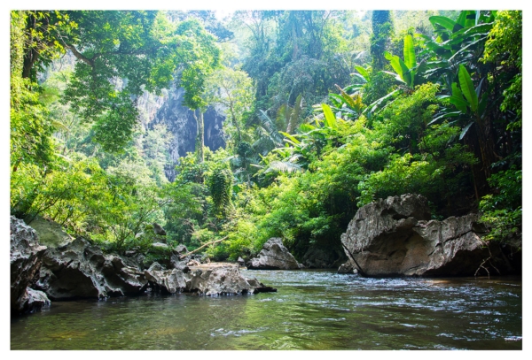 อุทยานแห่งชาติลำคลองงู อุทยานแห่งชาติลำคลองงู