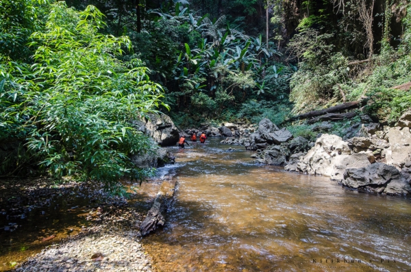 อุทยานแห่งชาติลำคลองงู อุทยานแห่งชาติลำคลองงู
