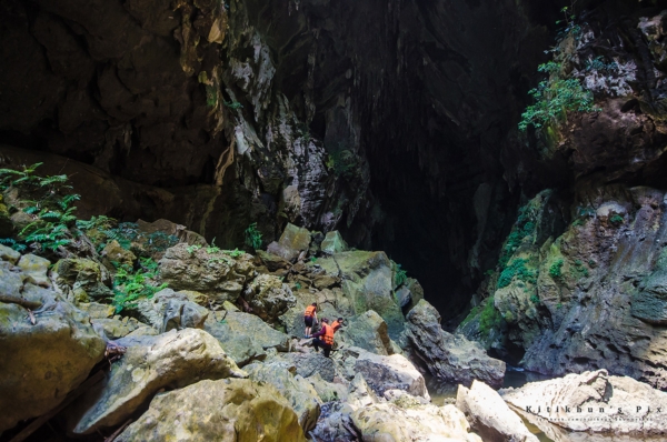 อุทยานแห่งชาติลำคลองงู อุทยานแห่งชาติลำคลองงู