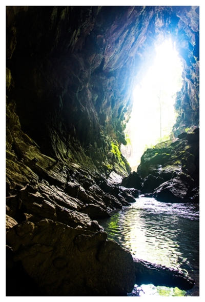 อุทยานแห่งชาติลำคลองงู อุทยานแห่งชาติลำคลองงู