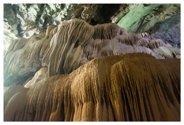 อุทยานแห่งชาติลำคลองงู อุทยานแห่งชาติลำคลองงู