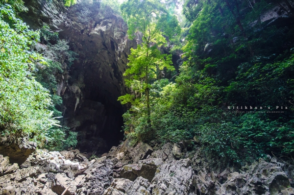 อุทยานแห่งชาติลำคลองงู อุทยานแห่งชาติลำคลองงู
