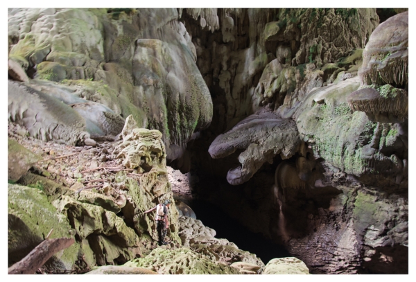 อุทยานแห่งชาติลำคลองงู อุทยานแห่งชาติลำคลองงู