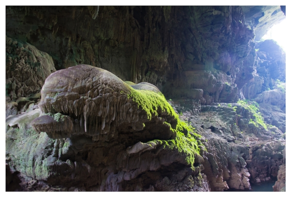 อุทยานแห่งชาติลำคลองงู อุทยานแห่งชาติลำคลองงู