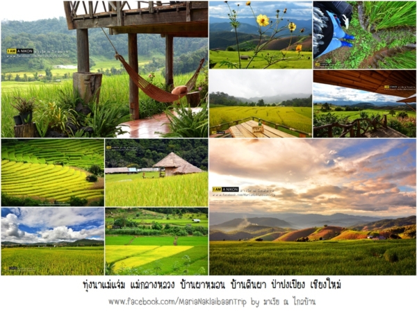 นาขั้นบันได เชียงใหม่ นาขั้นบันได เชียงใหม่