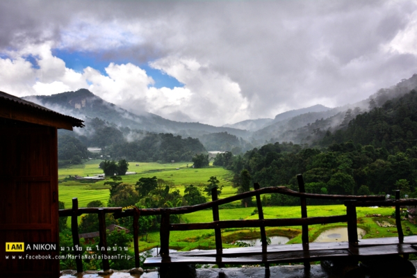 นาขั้นบันได เชียงใหม่ นาขั้นบันได เชียงใหม่