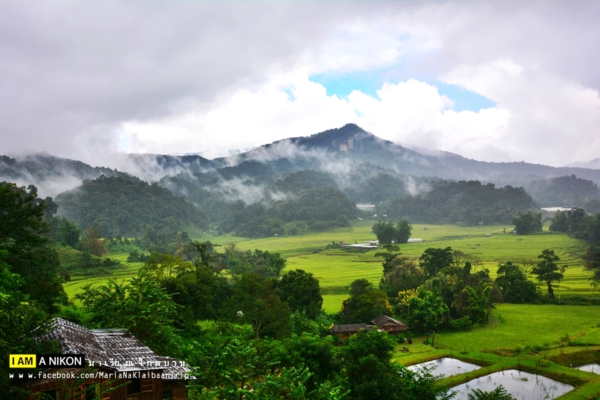 นาขั้นบันได เชียงใหม่ นาขั้นบันได เชียงใหม่