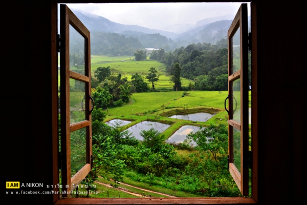 นาขั้นบันได เชียงใหม่ นาขั้นบันได เชียงใหม่