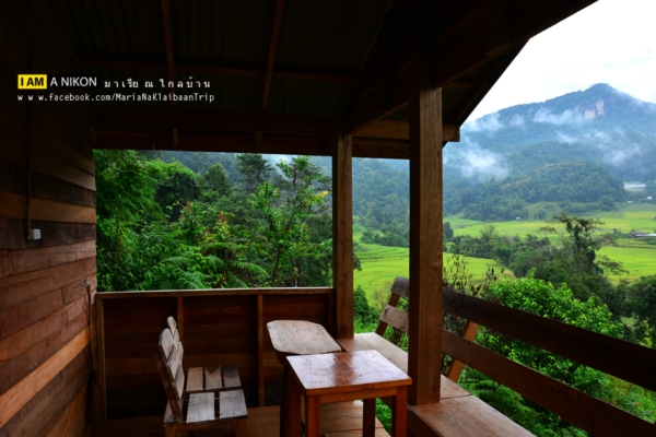 นาขั้นบันได เชียงใหม่ นาขั้นบันได เชียงใหม่