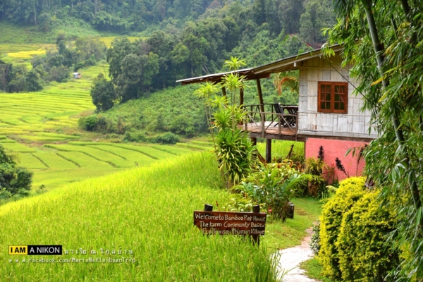 นาขั้นบันได เชียงใหม่ นาขั้นบันได เชียงใหม่