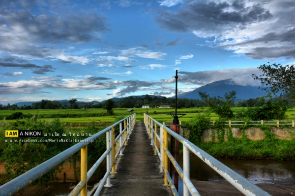 นาขั้นบันได เชียงใหม่ นาขั้นบันได เชียงใหม่