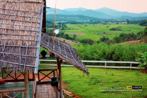 นาขั้นบันได เชียงใหม่ นาขั้นบันได เชียงใหม่