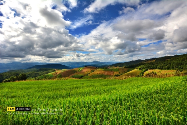 นาขั้นบันได เชียงใหม่ นาขั้นบันได เชียงใหม่