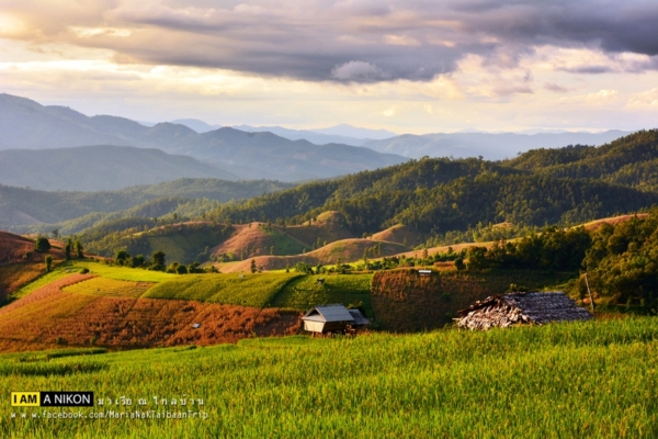 นาขั้นบันได เชียงใหม่ นาขั้นบันได เชียงใหม่
