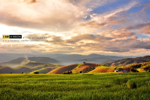 นาขั้นบันได เชียงใหม่ นาขั้นบันได เชียงใหม่