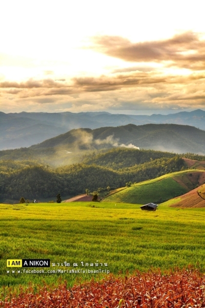 นาขั้นบันได เชียงใหม่ นาขั้นบันได เชียงใหม่