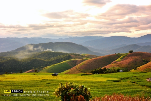 นาขั้นบันได เชียงใหม่ นาขั้นบันได เชียงใหม่