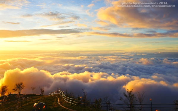 ภูทับเบิก ภูทับเบิก