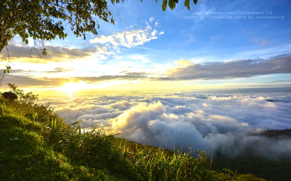ภูทับเบิก ภูทับเบิก