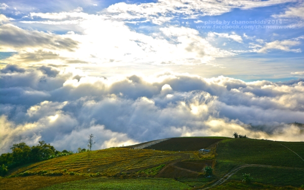 ภูทับเบิก ภูทับเบิก