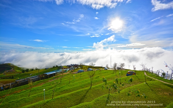 ภูทับเบิก ภูทับเบิก