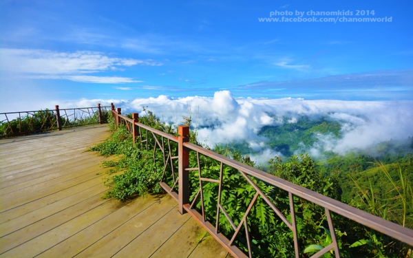 ภูทับเบิก ภูทับเบิก