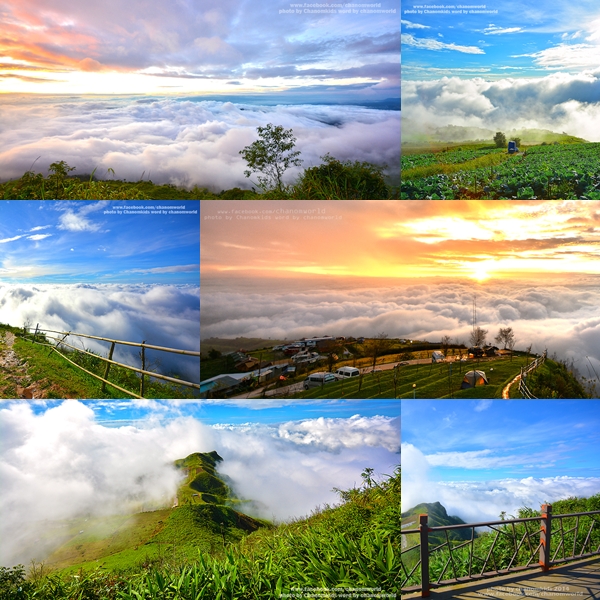 ภูทับเบิก ภูทับเบิก