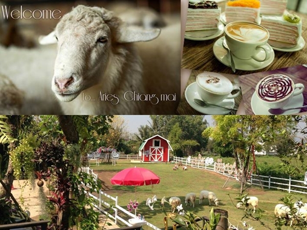 ร้านกาแฟ เชียงใหม่ ร้านกาแฟ เชียงใหม่
