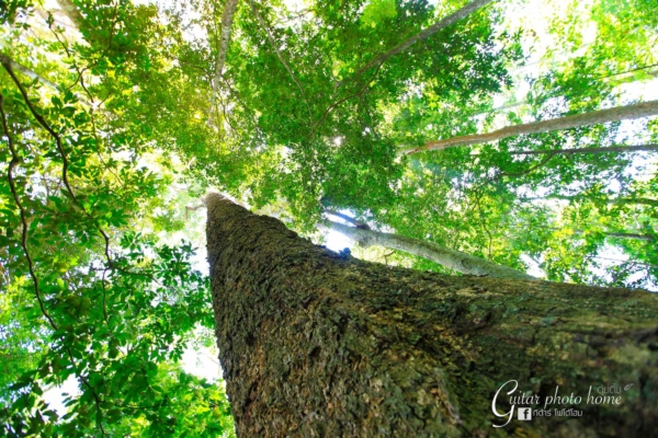 กาญจนบุรี กาญจนบุรี