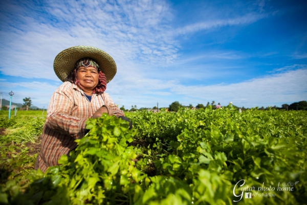 กาญจนบุรี กาญจนบุรี