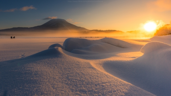 Landscape Landscape