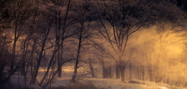 Landscape Landscape