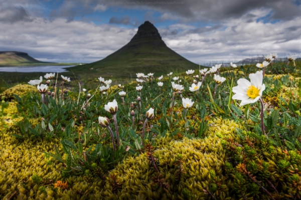 Landscape Landscape