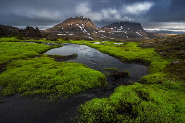 Landscape Landscape