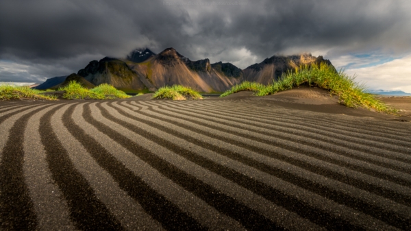 Landscape Landscape
