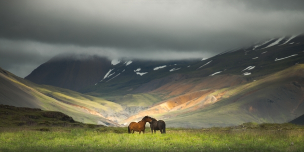 Landscape Landscape