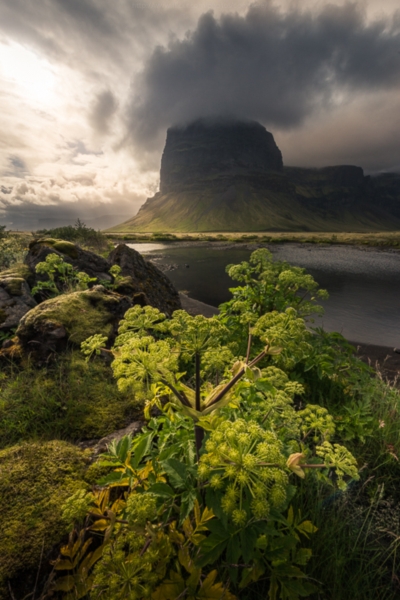 Landscape Landscape
