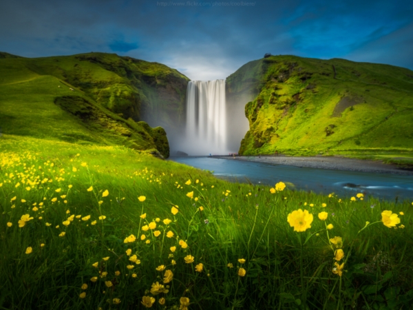 Landscape Landscape