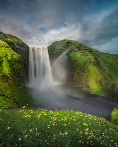 Landscape Landscape
