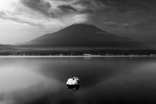 Landscape Landscape
