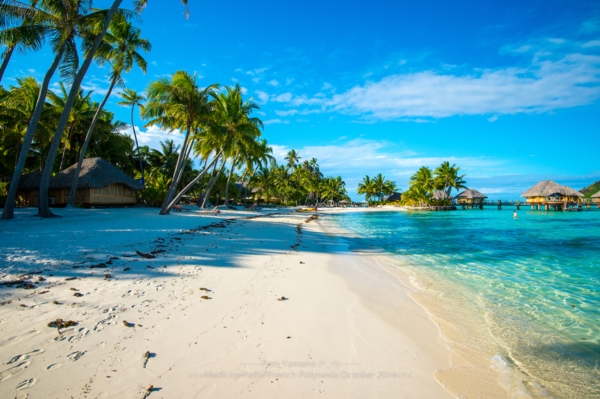 Bora Bora Island Bora Bora Island
