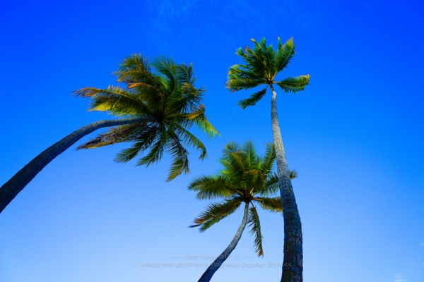 Bora Bora Island Bora Bora Island