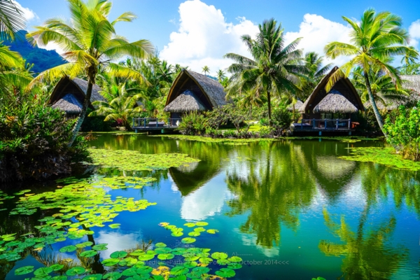 Bora Bora Island Bora Bora Island